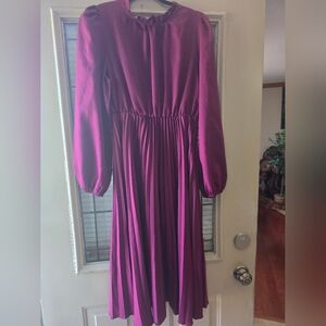 Stunning Plum Long Sleeve Dress